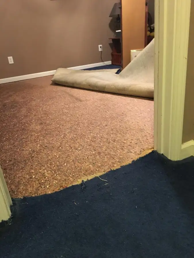 Carpet pad removal revealing water damage during Drying & Dehumidification in Chippewa