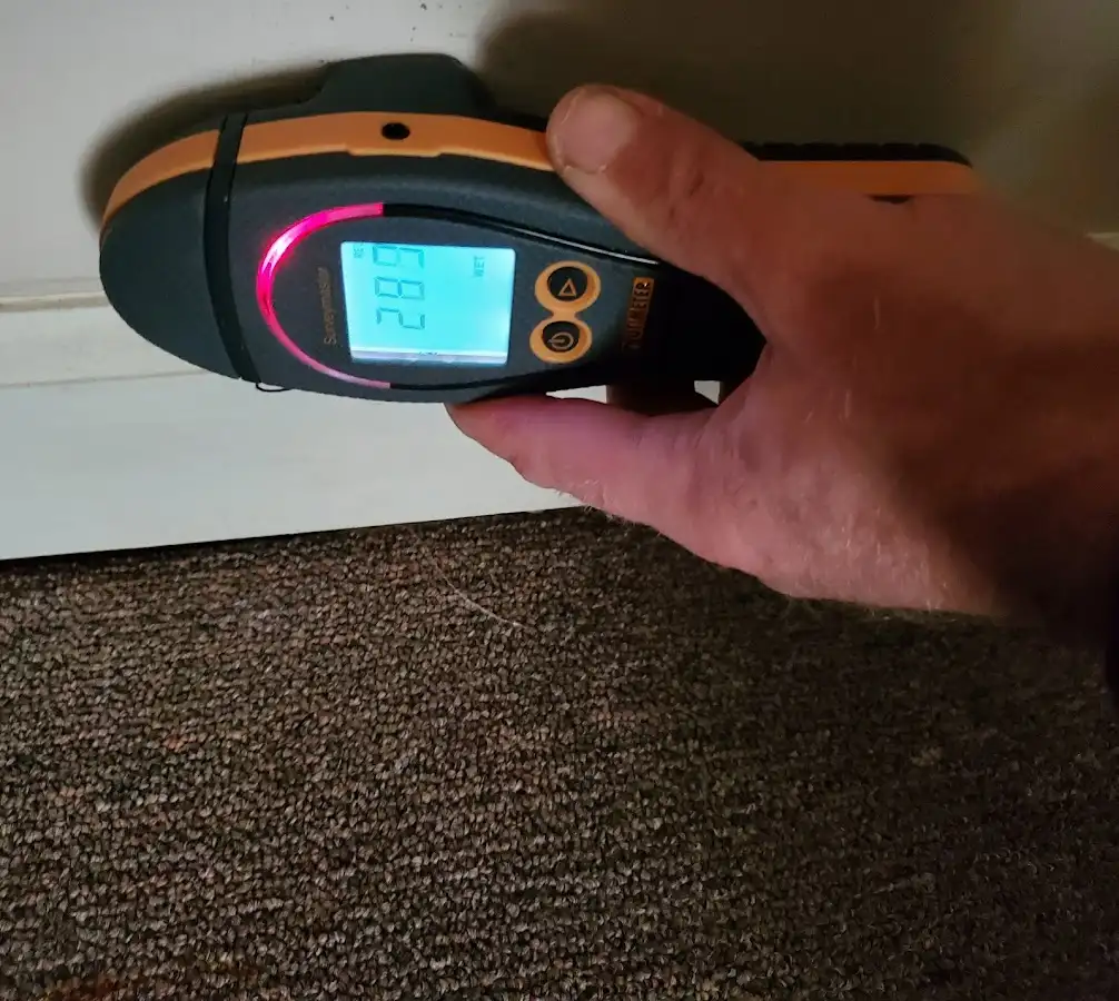 Moisture detection at baseboard during Sewage Cleanup & Sanitation in Chippewa